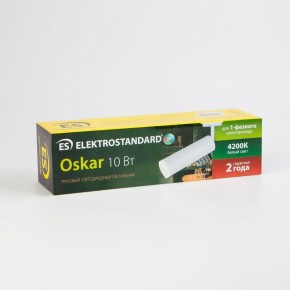 Светильник на штанге Elektrostandard Oskar a040963 в Заводоуковске - zavodoukovsk.mebel24.online | фото 6