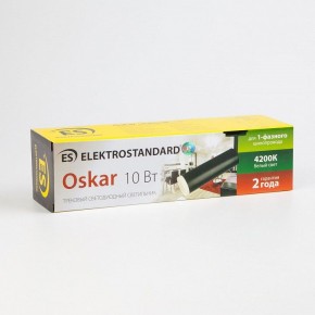 Светильник на штанге Elektrostandard Oskar a040964 в Заводоуковске - zavodoukovsk.mebel24.online | фото 4