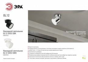 Светильник на штанге Эра OL12 GX53 SBK Б0049034 в Заводоуковске - zavodoukovsk.mebel24.online | фото 5