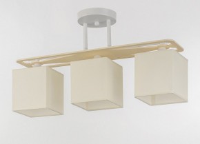 Светильник на штанге Escada Ares 1117/3PL в Заводоуковске - zavodoukovsk.mebel24.online | фото 4