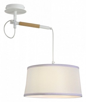 Светильник на штанге F-promo Eureka 3005-1P в Заводоуковске - zavodoukovsk.mebel24.online | фото 4