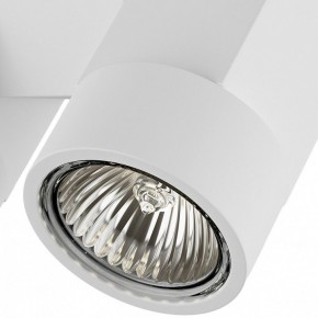 Светильник на штанге Lightstar Illumo X2 051036 в Заводоуковске - zavodoukovsk.mebel24.online | фото 2