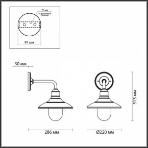 Светильник на штанге Odeon Light Campa 4965/1W в Заводоуковске - zavodoukovsk.mebel24.online | фото 4