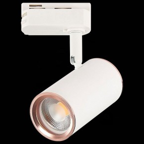 Светильник на штанге ST-Luce Cromi ST301.526.01 в Заводоуковске - zavodoukovsk.mebel24.online | фото 4