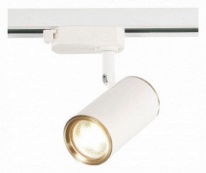 Светильник на штанге ST-Luce Cromi ST301.536.01 в Заводоуковске - zavodoukovsk.mebel24.online | фото 3