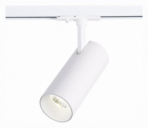 Светильник на штанге ST-Luce Mono ST350.536.20.36 в Заводоуковске - zavodoukovsk.mebel24.online | фото 2