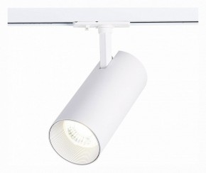 Светильник на штанге ST-Luce Mono ST350.546.30.36 в Заводоуковске - zavodoukovsk.mebel24.online | фото 2