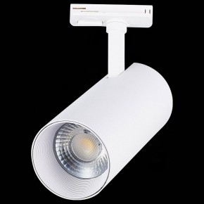 Светильник на штанге ST-Luce Mono ST350.546.30.36 в Заводоуковске - zavodoukovsk.mebel24.online | фото 6