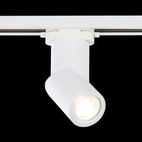 Светильник на штанге ST-Luce ST650 ST650.506.01 в Заводоуковске - zavodoukovsk.mebel24.online | фото 3