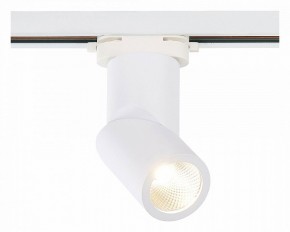 Светильник на штанге ST-Luce ST650 ST650.536.10 в Заводоуковске - zavodoukovsk.mebel24.online | фото 2