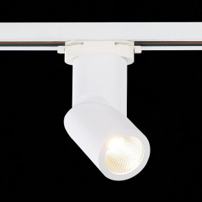 Светильник на штанге ST-Luce ST650 ST650.536.10 в Заводоуковске - zavodoukovsk.mebel24.online | фото 3
