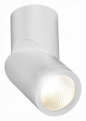 Светильник на штанге ST-Luce ST650 ST650.542.10 в Заводоуковске - zavodoukovsk.mebel24.online | фото 3