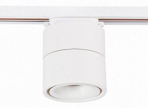 Светильник на штанге ST-Luce ST652 ST652.546.12 в Заводоуковске - zavodoukovsk.mebel24.online | фото 2