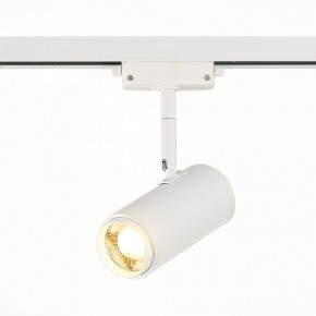 Светильник на штанге ST-Luce Zoom ST600.536.12 в Заводоуковске - zavodoukovsk.mebel24.online | фото 2