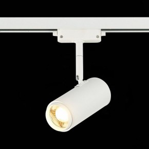 Светильник на штанге ST-Luce Zoom ST600.536.12 в Заводоуковске - zavodoukovsk.mebel24.online | фото 4