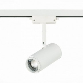 Светильник на штанге ST-Luce Zoom ST600.546.12 в Заводоуковске - zavodoukovsk.mebel24.online | фото 3