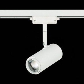 Светильник на штанге ST-Luce Zoom ST600.546.12 в Заводоуковске - zavodoukovsk.mebel24.online | фото 5