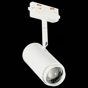 Светильник на штанге ST-Luce Zoom ST600.546.12 в Заводоуковске - zavodoukovsk.mebel24.online | фото 6