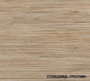 ТОМИЛЛА Кухонный гарнитур Стандарт 5 (1600 мм ) в Заводоуковске - zavodoukovsk.mebel24.online | фото 7