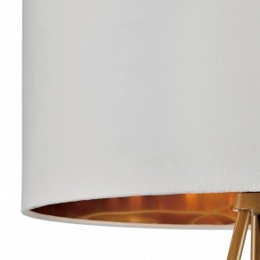 Торшер Lumion Tapioka 8077/1F в Заводоуковске - zavodoukovsk.mebel24.online | фото 6