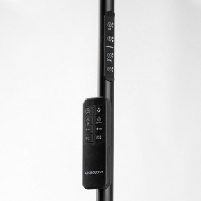 Торшер Lussole Carmel LSP-0901-SE в Заводоуковске - zavodoukovsk.mebel24.online | фото 5