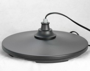 Торшер Lussole Greene LSP-0572 в Заводоуковске - zavodoukovsk.mebel24.online | фото 4