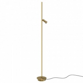Торшер Maytoni Thin MOD395FL-L28BS3K в Заводоуковске - zavodoukovsk.mebel24.online | фото