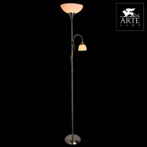 Торшер с подсветкой Arte Lamp Duetto A9569PN-2SS в Заводоуковске - zavodoukovsk.mebel24.online | фото 3