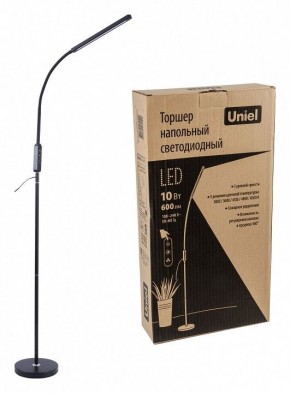 Торшер Uniel ULM-T619 UL-00010178 в Заводоуковске - zavodoukovsk.mebel24.online | фото 4
