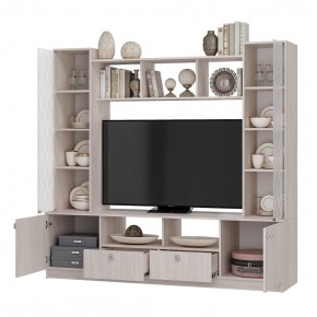 Центральная секция Зарина ЦС-01 (ясень белый) в Заводоуковске - zavodoukovsk.mebel24.online | фото 2