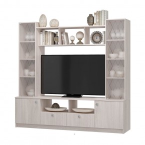 Центральная секция Зарина ЦС-01 (ясень белый) в Заводоуковске - zavodoukovsk.mebel24.online | фото 3