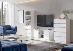 НИЦЦА-9 Тумба под ТВ (НЦ.09) в Заводоуковске - zavodoukovsk.mebel24.online | фото 3