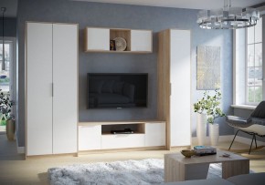 Тумба под ТВ Нордик в Заводоуковске - zavodoukovsk.mebel24.online | фото