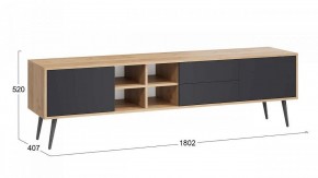 Тумба под ТВ Тип 5 в Заводоуковске - zavodoukovsk.mebel24.online | фото 6