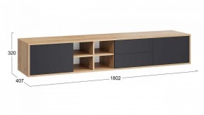 Тумба под ТВ Тип 5 в Заводоуковске - zavodoukovsk.mebel24.online | фото 5