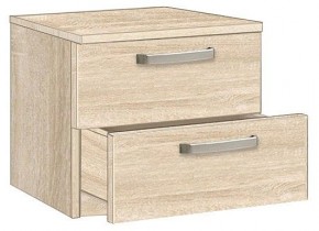Тумбочка 1.021 в Заводоуковске - zavodoukovsk.mebel24.online | фото