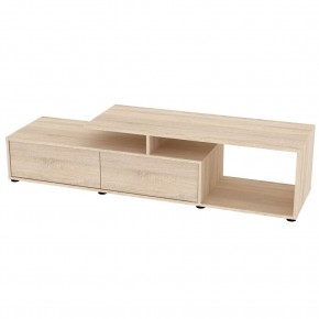 ТВ тумба TV25 (ДСС) в Заводоуковске - zavodoukovsk.mebel24.online | фото