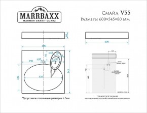 Умывальник над стиральной машиной (600*545*80) Смайл V55D1 (белый) с кронштейном без сифона (V55D1) в Заводоуковске - zavodoukovsk.mebel24.online | фото 2