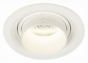 Встраиваемый светильник ST-Luce Zoom ST701.548.12 в Заводоуковске - zavodoukovsk.mebel24.online | фото 2